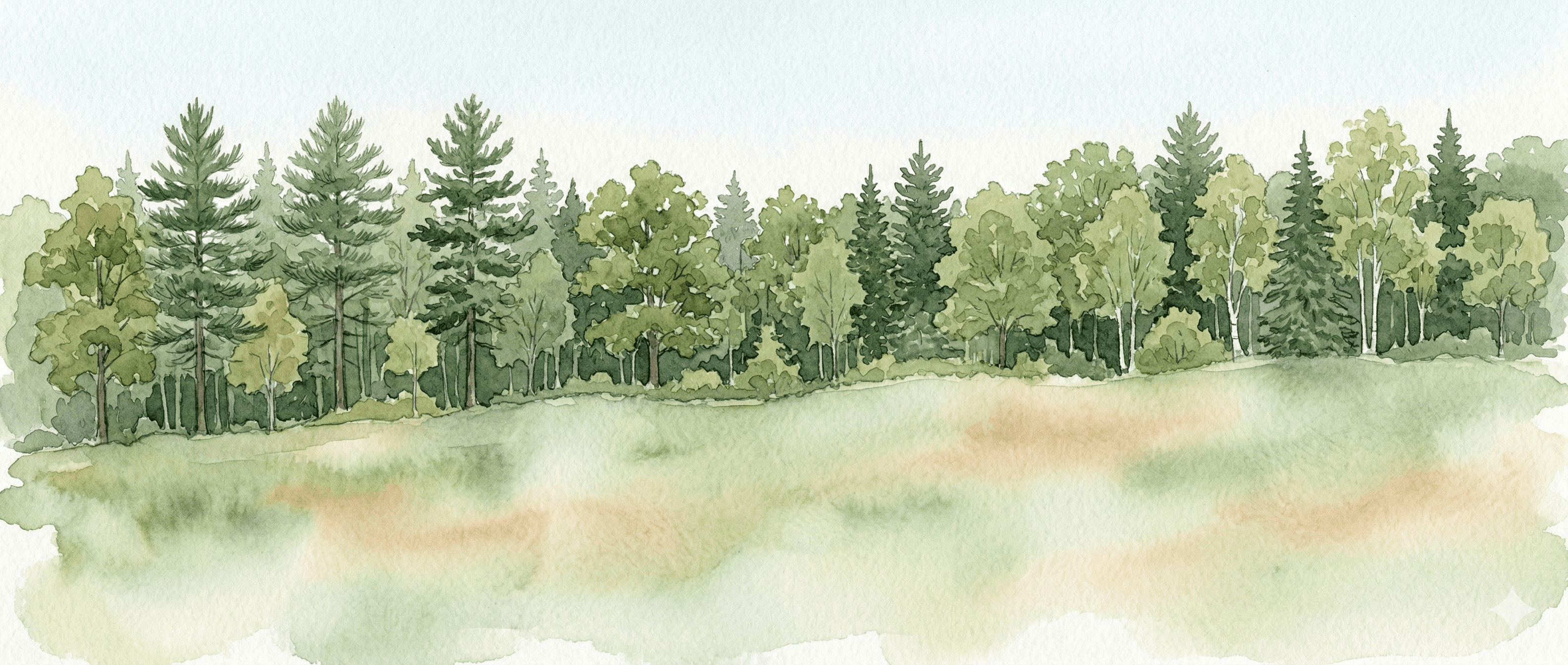 Footer decorative landscape